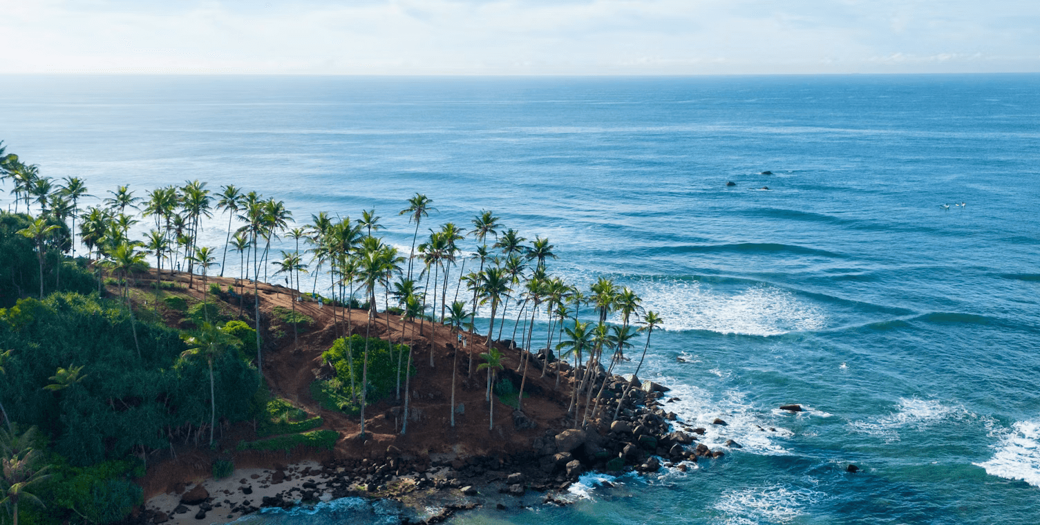 coconut tree hill in mirissa