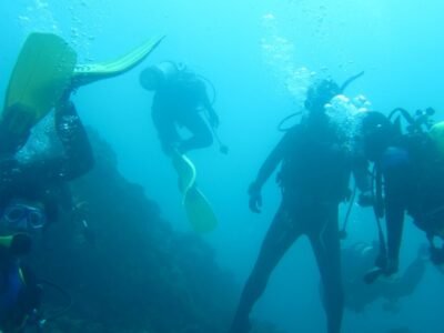 Snorkeling & Scuba