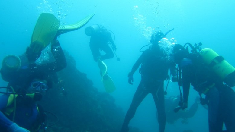 Snorkeling, Scuba