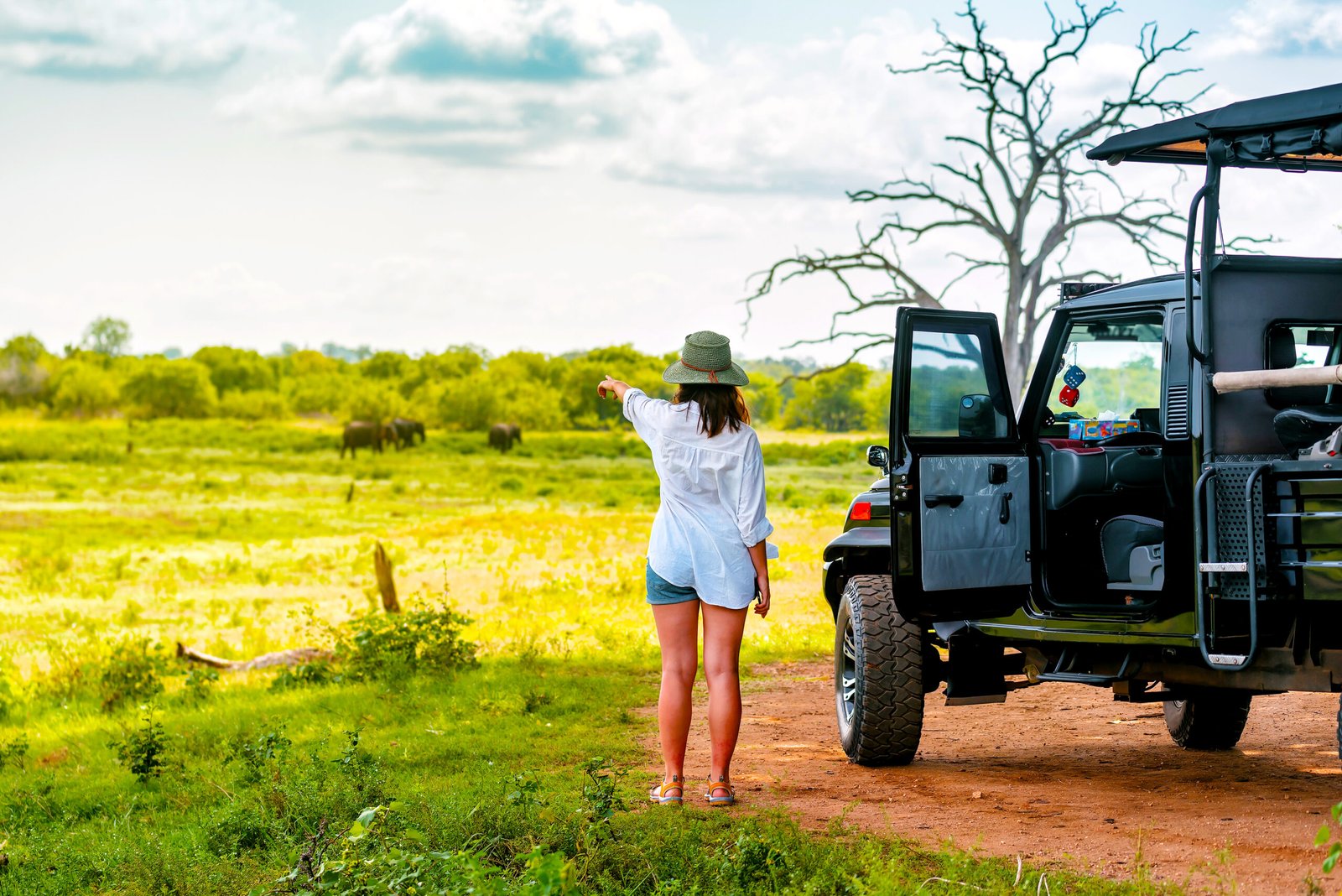 jeep safari packages and offers from yala udawalawe kuma knuckes tour offers in sri lanka